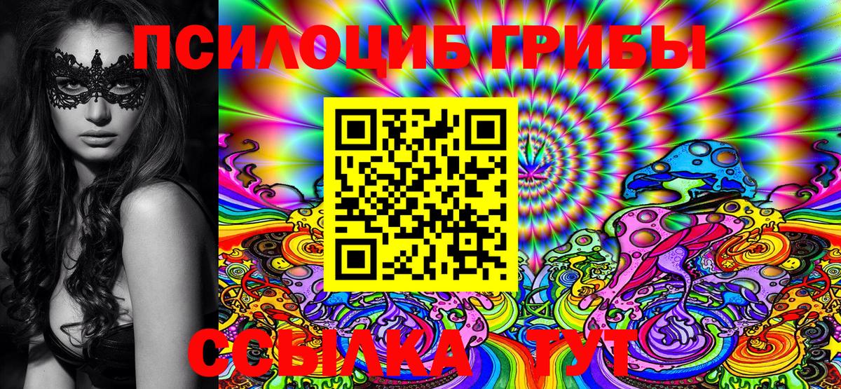 Татарск  Галлюциногенные грибы MAGIC MUSHROOMS  Вход с VPN 